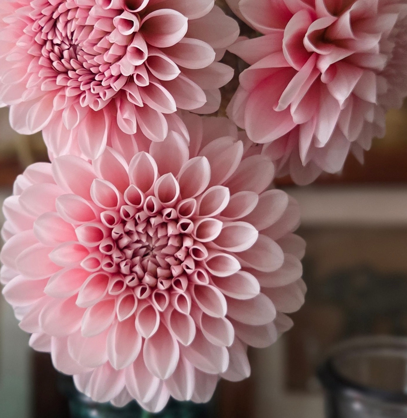 LEE’S PINEBERRY TRIFLE