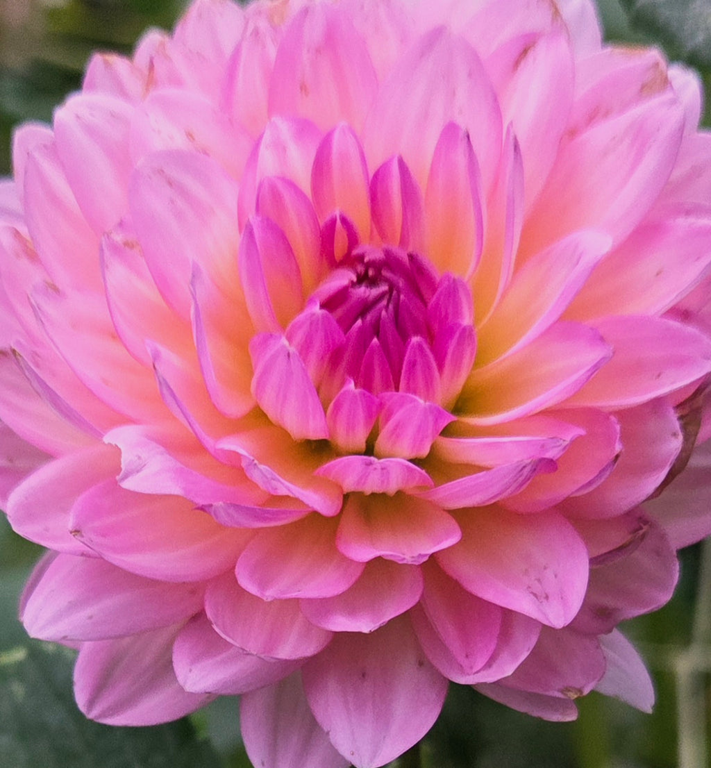 Ruthie G