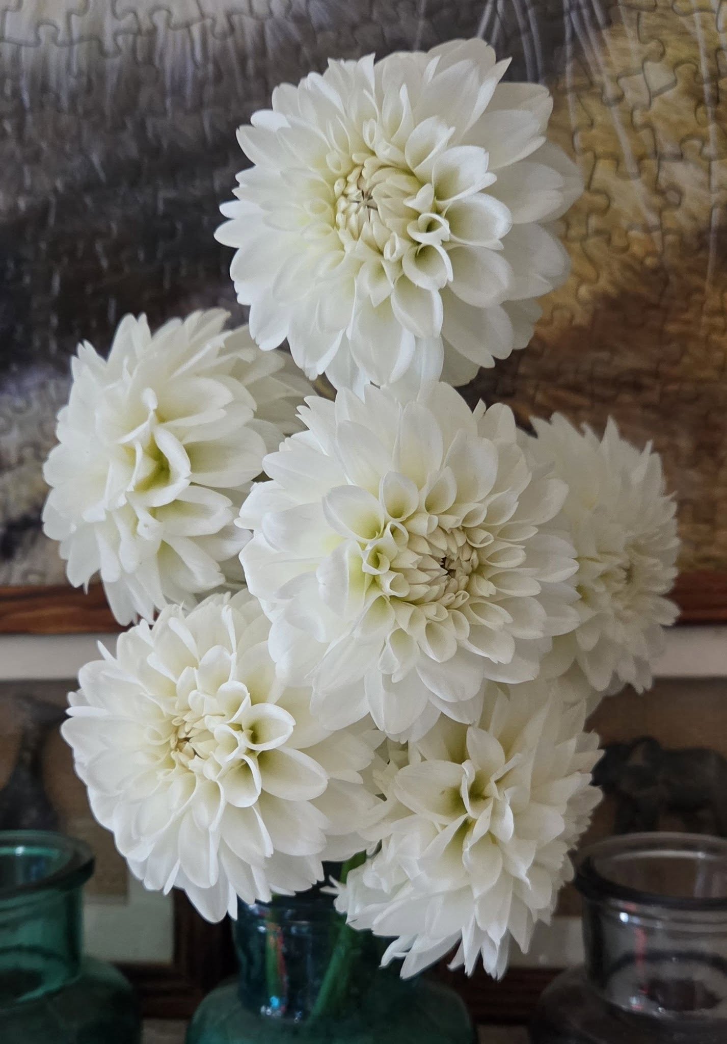 BRENDAS HEIRLOOM