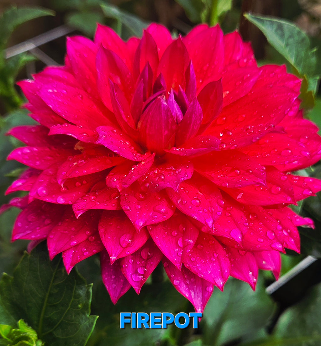 Firepot