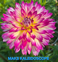 MAKS KALIEDSCOPE